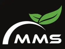 MAAMANGLASTORE